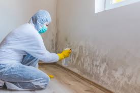  , USA Mold Removal Services Pros